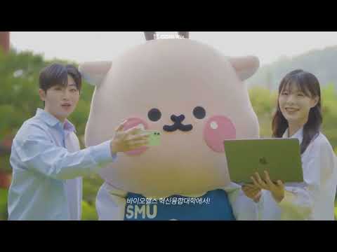 비디오 17