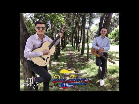 El barcino - DueTorres