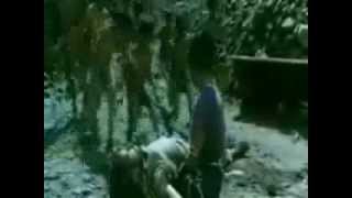 Jane&#39;s Addiction ~ Sympathy for the Devil (1987)