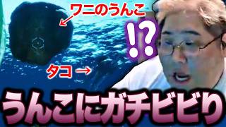 未知の新生物「タコ」にビビりすぎて、目の前に現れたワニのうんこにもビビる恭一郎【ARK:Survival Ascended】