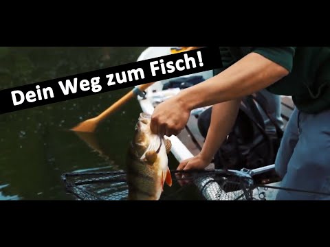 Fischroute