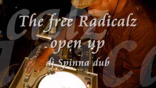 the free radicalz - open up (spinna dub)