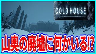 【ホラーゲーム】実況 雪山にある謎の廃墟で一晩過ごしてみた結果⁉【Cold House】 パート1