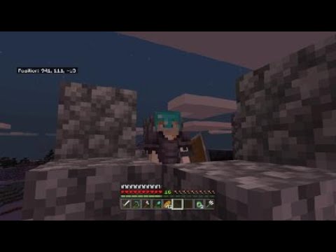 serie di minecraft un pezzi di armatura in netherite