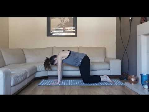 Yoga Sessions with SERC - Day 11