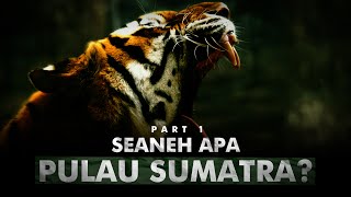 Download lagu Harta Karun Megafauna Dari Indonesia | Pulau Sumatra - Part 1 mp3 Download lagu Harta Karun Megafauna Dari Indonesia | Pulau Sumatra - Part 1 mp3