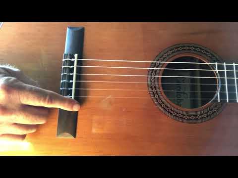 Cordoba Iberia series C5-CE Nylon Sting DEMO tuned to 444HZ