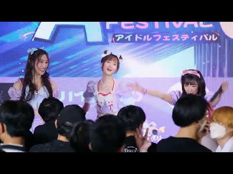 ทาสแมว (Cat slave) focus nadear cmj 18/6/65