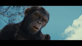 Kingdom of the Planet of the Apes | Noa’s Revenge | In Cinemas 9 May