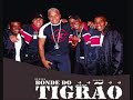 Bonde do Tigrão   Dança da cobra cega   YouTube