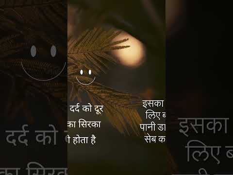 मांसपेशियों में दर्द को दूर करने में सेब का सिरका बहुत प्रभावी होता  #aurveda #fact