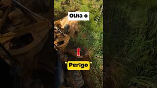Tipo de serviço que tem que ter muita atenção. #dicasparainiciantes #operadordemaquinas #videoshort