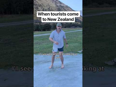 When tourists come to New Zealand #tourist #newzealand