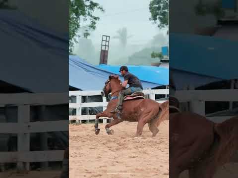 VAQUEJADA HARAS PARAMBU