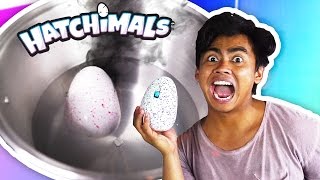 Do Not Boil HATCHIMALS!