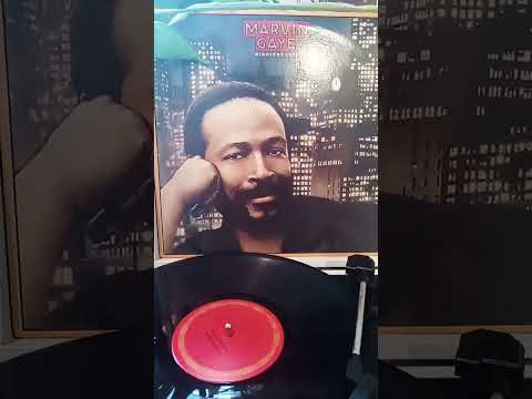 Marvin Gaye - Sexual Healing🐊