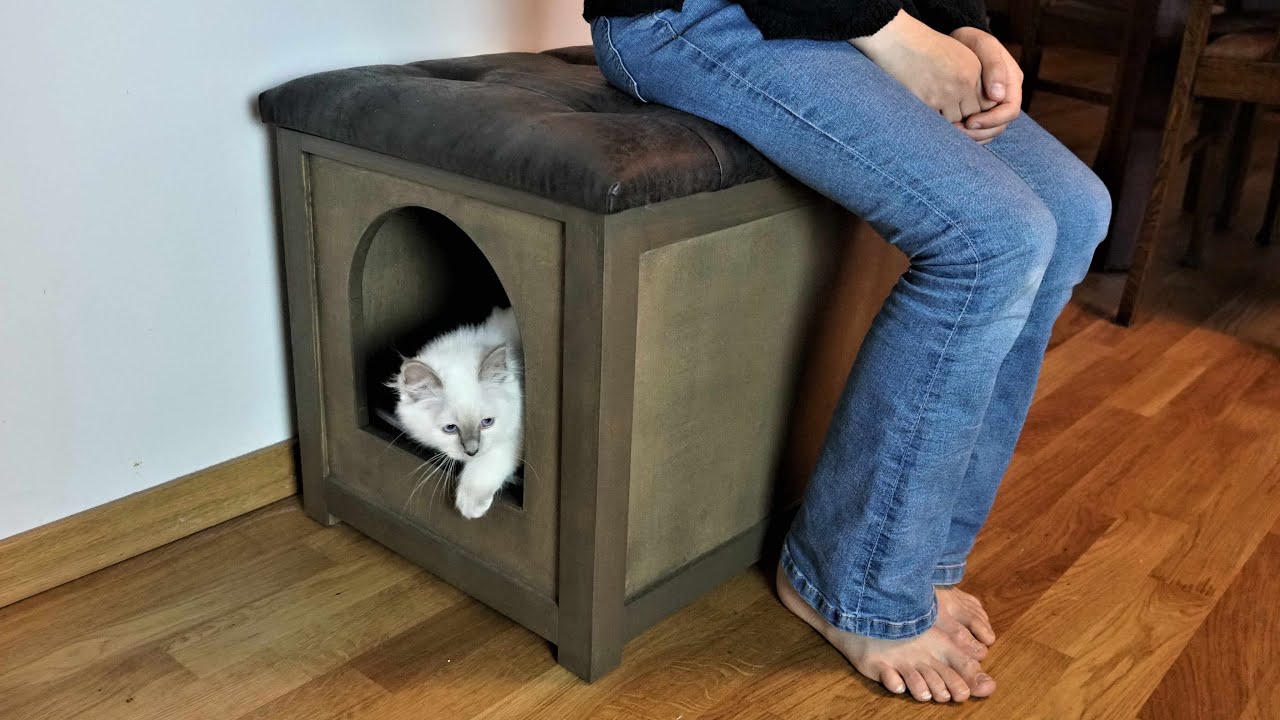 I built a CAT TOILET / STOOL