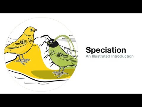 Speciation: An Illustrated Introduction