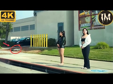 Moments Of Instant Karma Caught On Camera | Best Of The Week #250