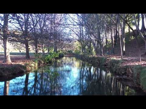 Fuente del Marqués I Visit Murcia Region