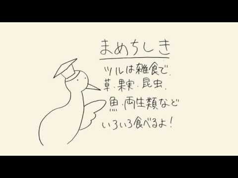 つるときつね J.Yedo