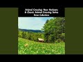2:00 AM ~Lullaby Version~ (From "Animal Crossing: City Folk") (For Piano Solo)