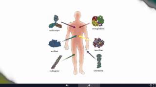 Dal DNA alle proteine: il codice della vita