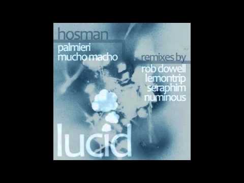 Hosman - Palmieri - Numinous, Seraphim Remix - LUCID002