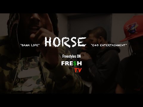 BOSSMAN HORSE FREESTYLE #1 | #FRESHTV