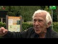 Beroemdste chimpansee van Almere dood: 'Antoine was een groot kind'.