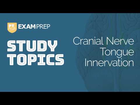 Study Topics: Cranial Nerve Tongue Innervation