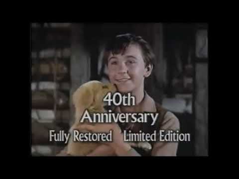 Opening to Jungle 2 Jungle 1997 VHS