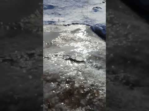 ۸ ژوئن ۲۰۲۲