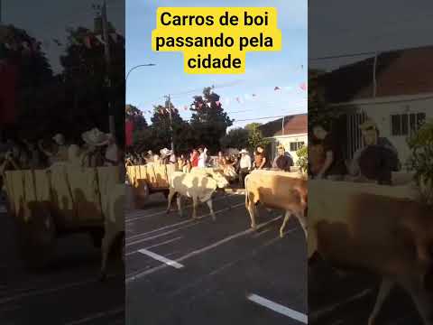 carros de boi passando  pelo cidade de Jaraguá  goias