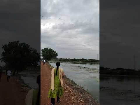 evening walk #nature #shorts @Bhuvana's channel