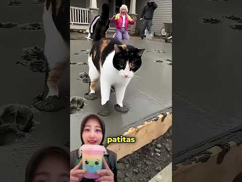 MIAW LOMPAT LOMPAT BIKIN CAP KAKI ⁉️TAPI SEBENERNYA ITU JALAN BIKINAN NENEK 😬😱 YoSoyDander