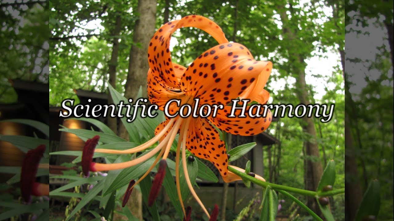 Quick Tip 122 - Scientific Color Harmony