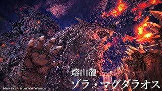 【MHW】１から初める狩人生活　＃3