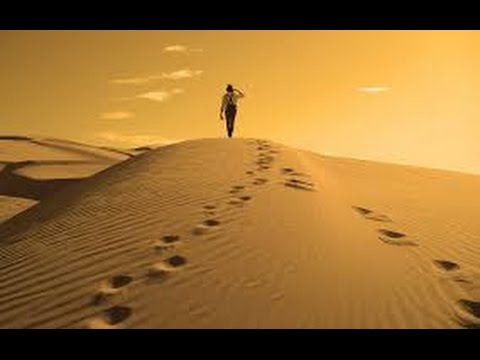 Outland Route | Half-Life 2 - StriderVille Part 1