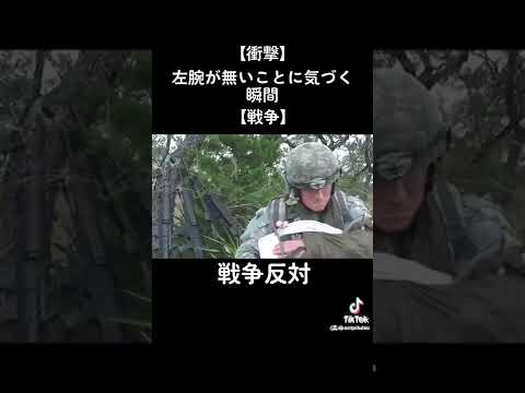 アオカケスを庭に誘引する方法 食べ物のヒント スティーブン・ハロック