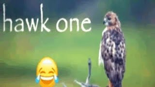 LOCKED IN SYNDROME IS IN. GET YOUR FREE GOVERNMENT SHUTDOWN PILLS HERE