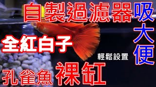 自製過濾器 | 沉水馬達吸大便 | 輕鬆設置孔雀魚裸缸 | set up a guppy tank with DIY filter