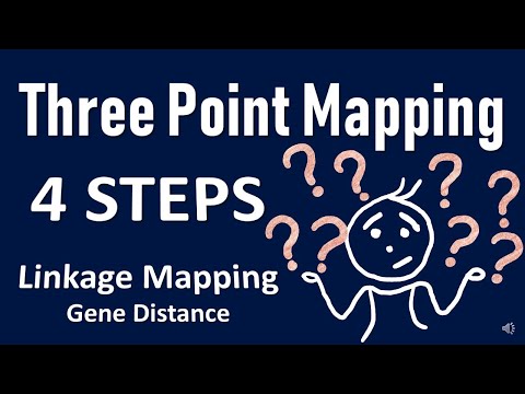 Three point mapping II Gene Order II Gene Distance II Genetics Problem Linkage