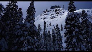 Buried: The 1982 Alpine Meadows Avalanche (2022) Video