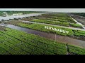Indonesian Pulp Paper Industry APP Group