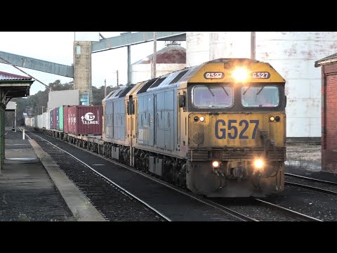 G527-525 on 7901V at Dunolly.  24-06-23.