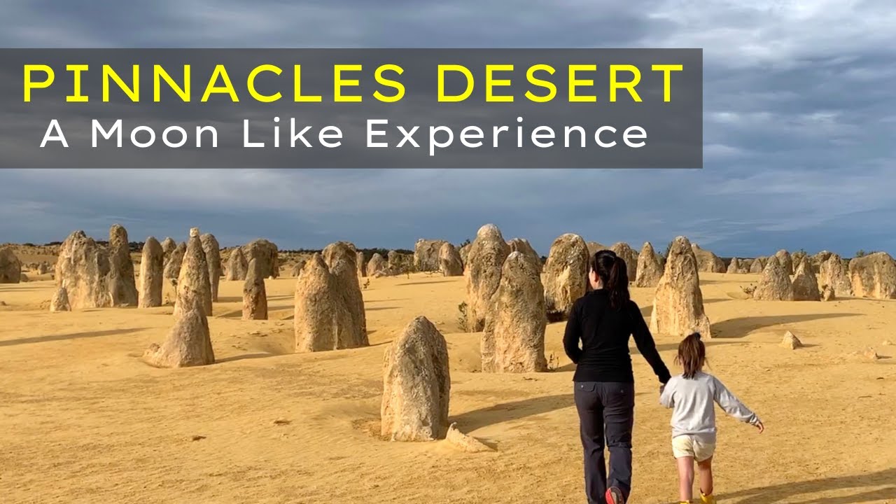 Experience a virtual tour of Nambung National Park.