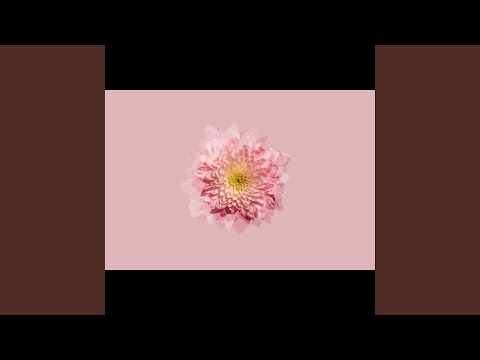 Mula Macenning Cappa' Makessing