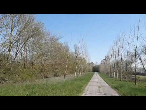 COVID19 La Guerre   Saison  1 – épisode 8 Mascarade ou Masques en Rade