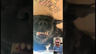 Watch Til the End 🤣
